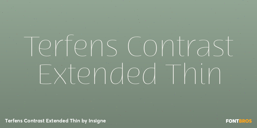 Terfens Contrast Extended Thin Poster