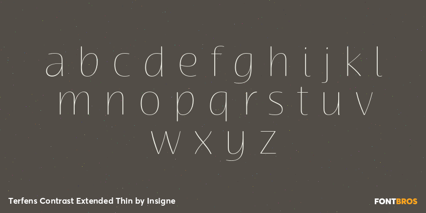 Terfens Contrast Extended Thin Font Poster #3