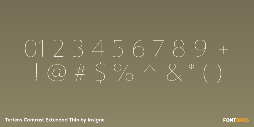 Terfens Contrast Extended Thin Font Poster #4