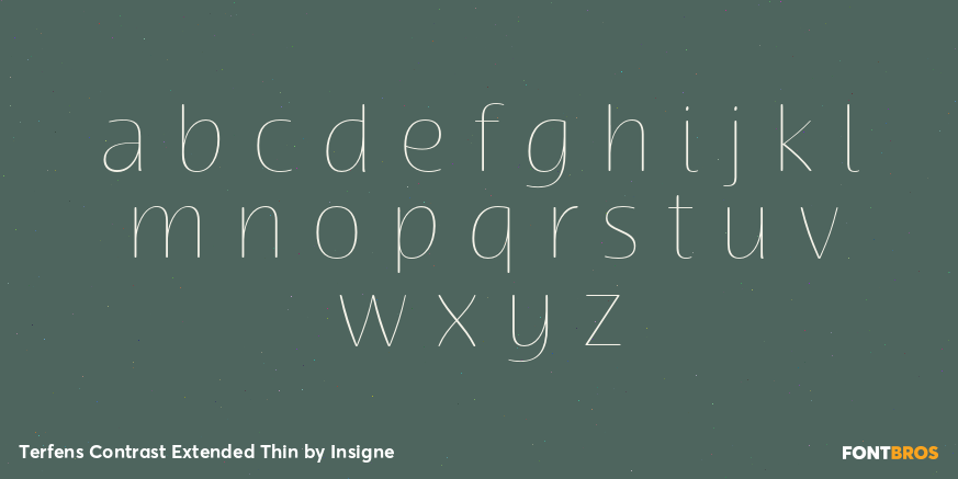 Terfens Contrast Extended Thin Font Poster #1