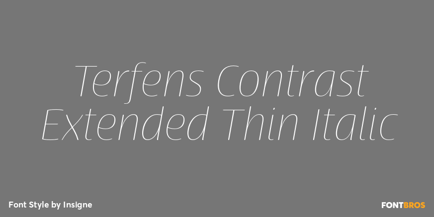 Terfens Contrast Extended Thin Italic Poster