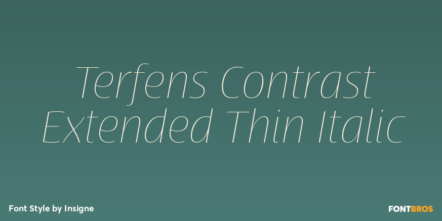 Terfens Contrast Extended Thin Italic Poster
