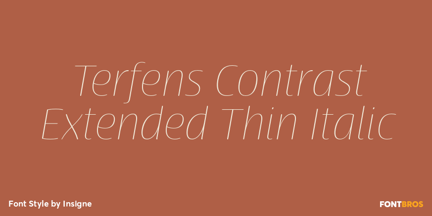 Terfens Contrast Extended Thin Italic Poster
