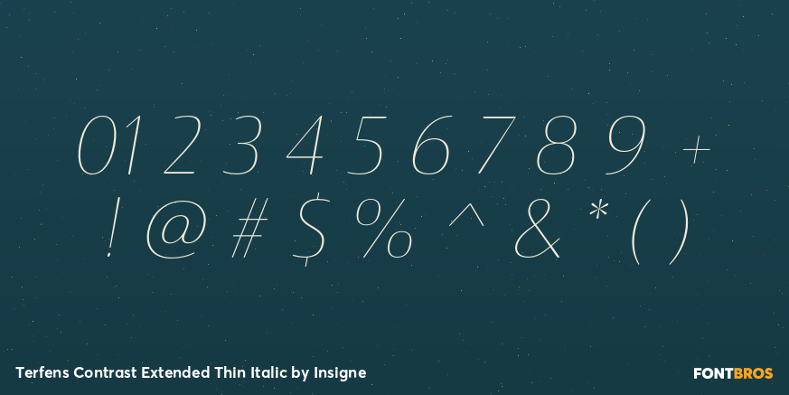 Terfens Contrast Extended Thin Italic Font Poster #1