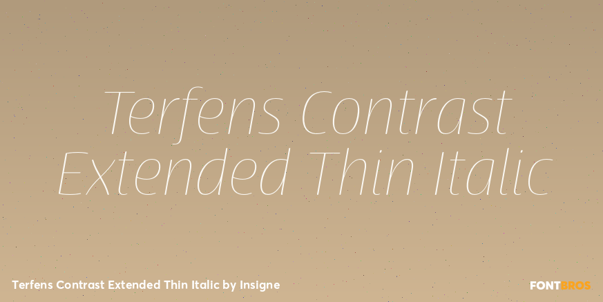 Terfens Contrast Extended Thin Italic Poster