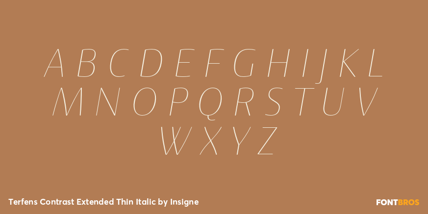 Terfens Contrast Extended Thin Italic Font Poster #2