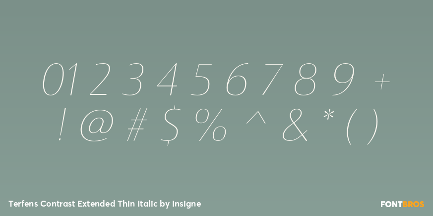 Terfens Contrast Extended Thin Italic Font Poster #4