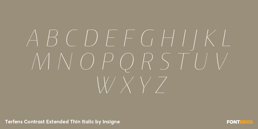 Terfens Contrast Extended Thin Italic Font Poster #1