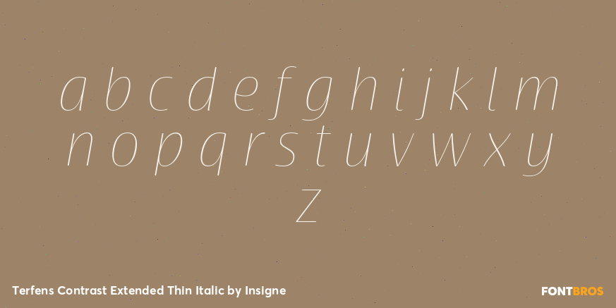 Terfens Contrast Extended Thin Italic Font Poster #1