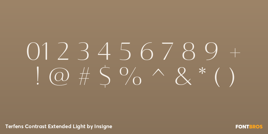 Terfens Contrast Extended Light Font Poster #1