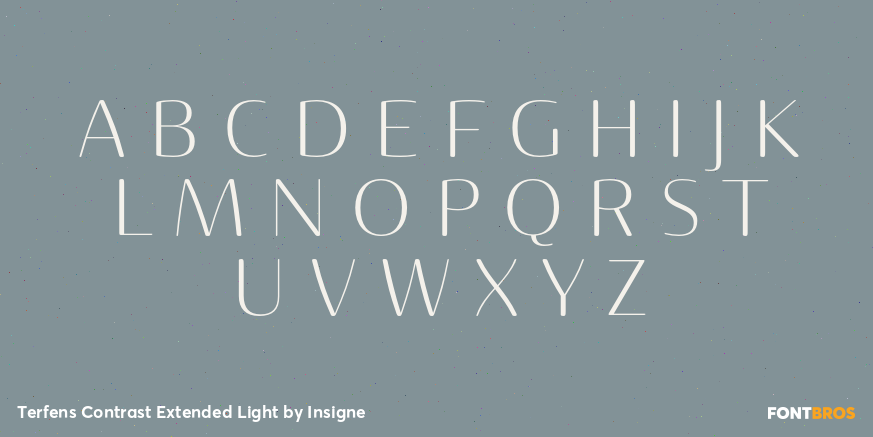 Terfens Contrast Extended Light Font Poster #2