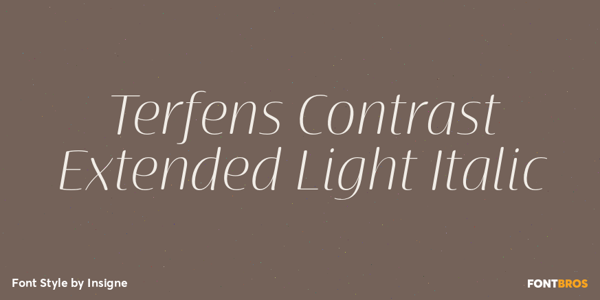 Terfens Contrast Extended Light Italic Poster