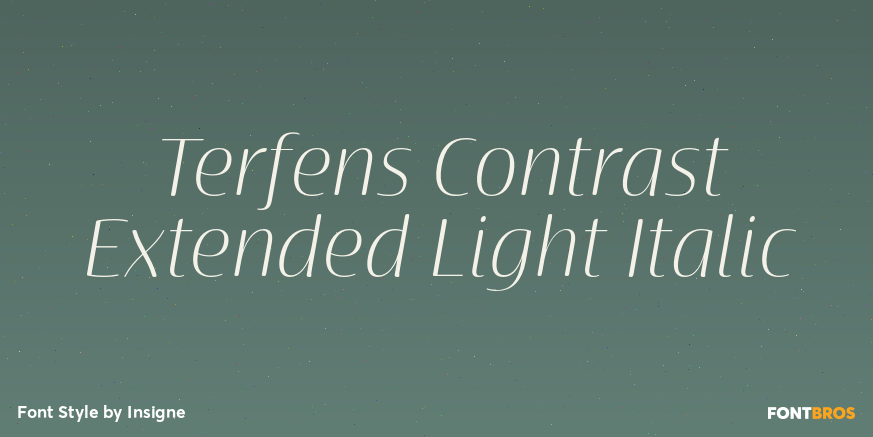 Terfens Contrast Extended Light Italic Poster