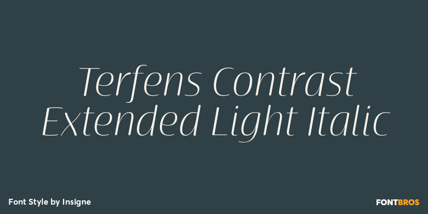 Terfens Contrast Extended Light Italic Poster