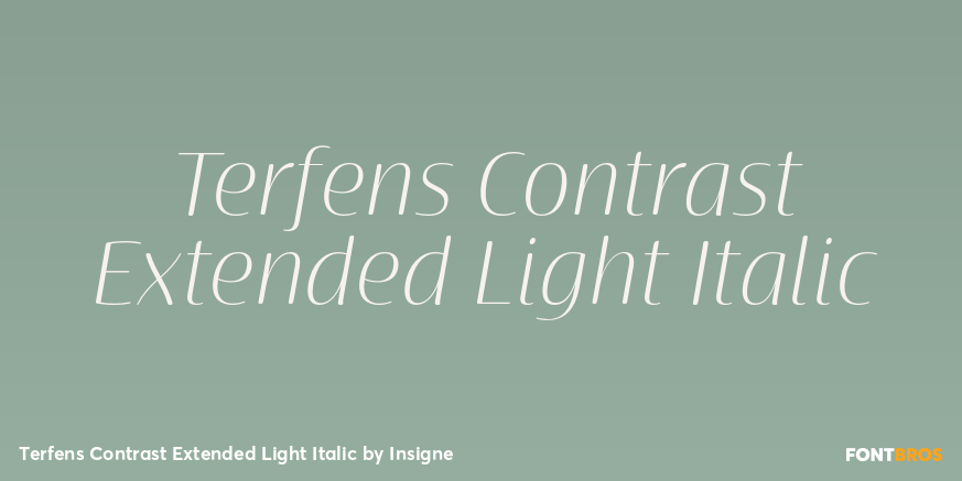 Terfens Contrast Extended Light Italic Poster