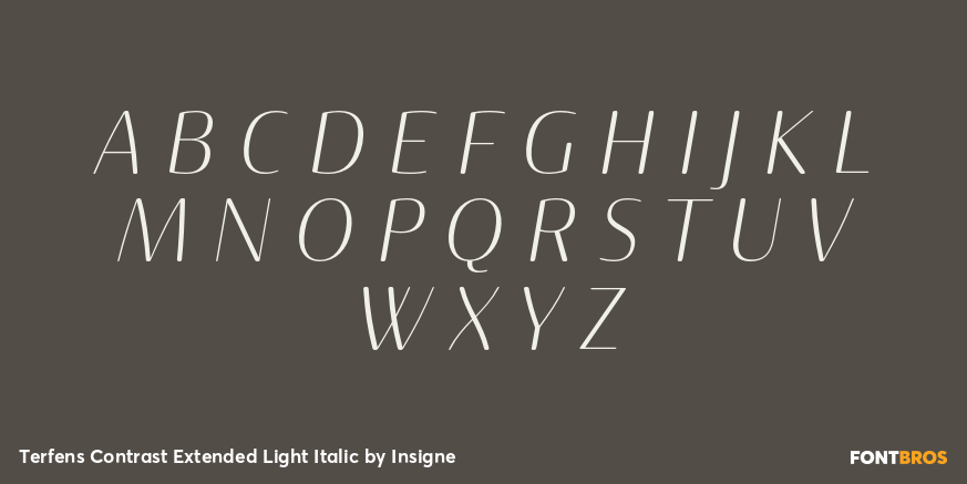 Terfens Contrast Extended Light Italic Font Poster #2