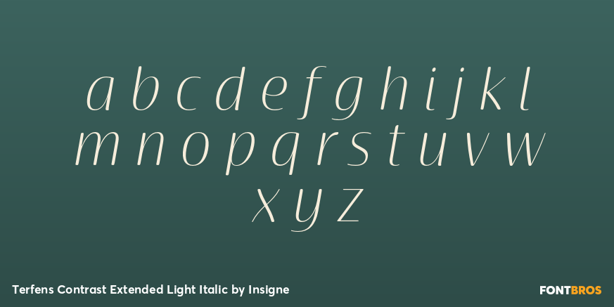 Terfens Contrast Extended Light Italic Font Poster #3