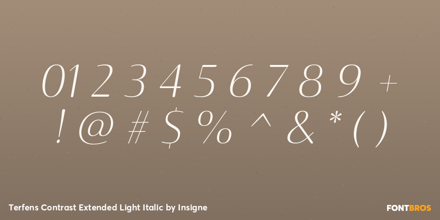 Terfens Contrast Extended Light Italic Font Poster #4