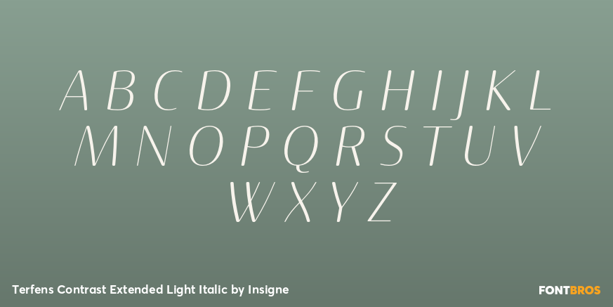 Terfens Contrast Extended Light Italic Font Poster #1