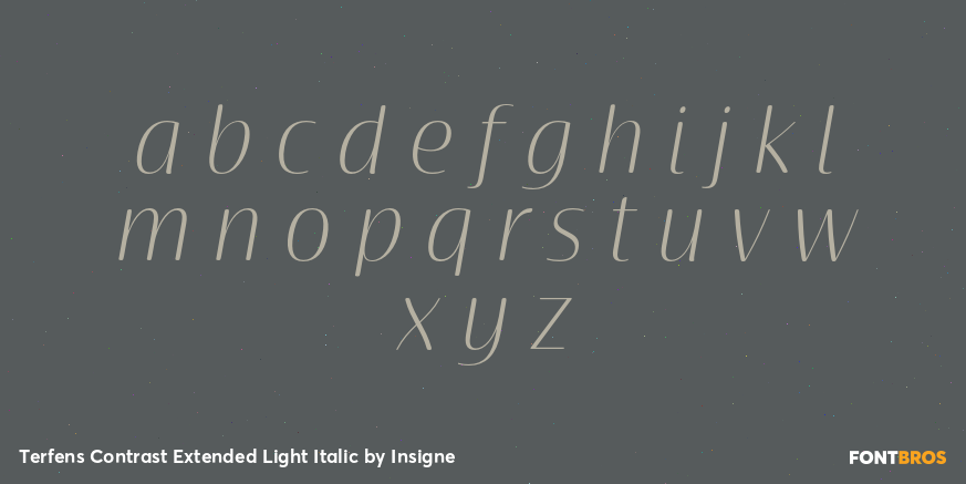 Terfens Contrast Extended Light Italic Font Poster #1