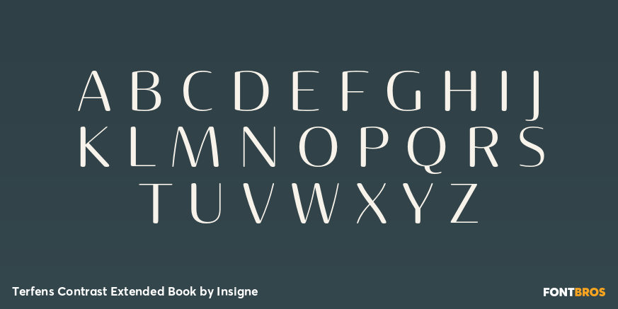 Terfens Contrast Extended Book Font Poster #2