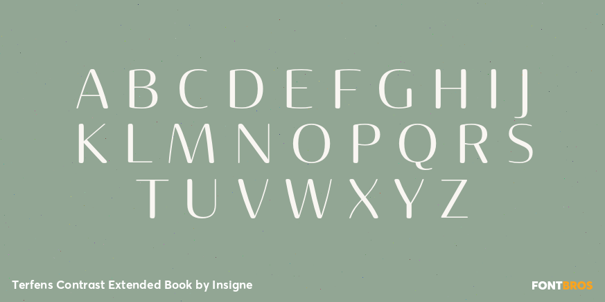 Terfens Contrast Extended Book Font Poster #1
