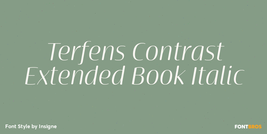 Terfens Contrast Extended Book Italic Poster