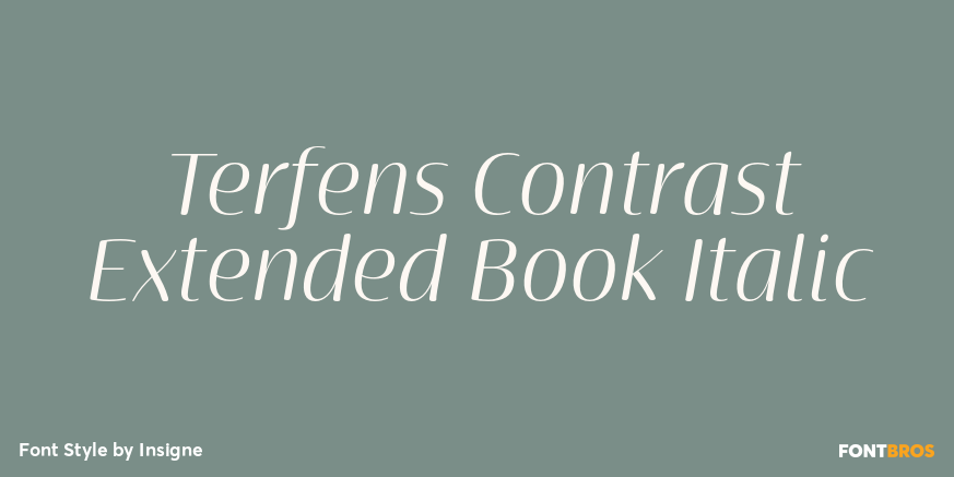 Terfens Contrast Extended Book Italic Poster