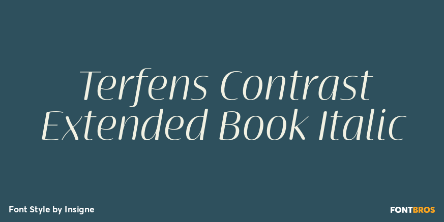 Terfens Contrast Extended Book Italic Poster