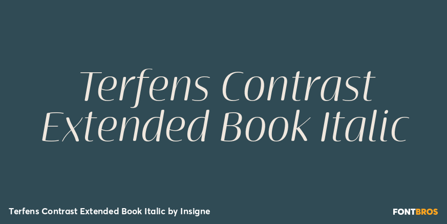 Terfens Contrast Extended Book Italic Poster
