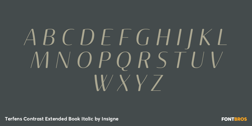 Terfens Contrast Extended Book Italic Font Poster #1