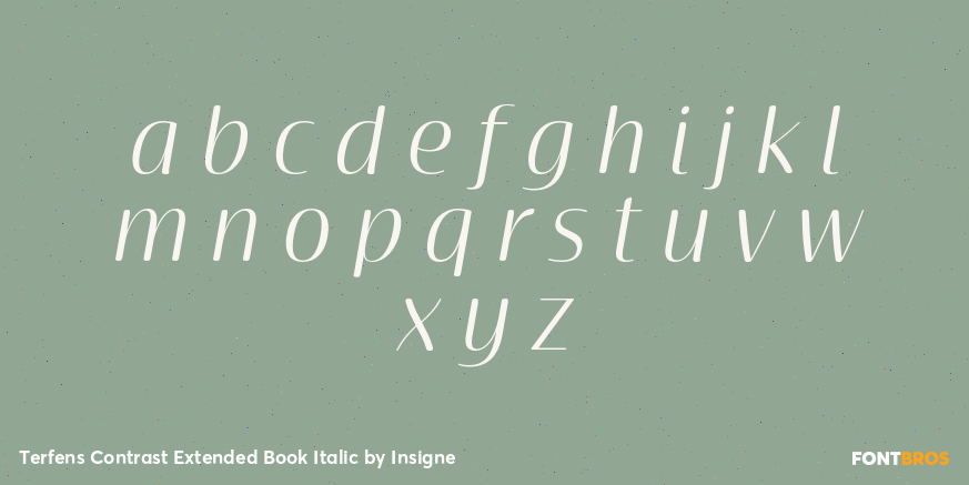 Terfens Contrast Extended Book Italic Font Poster #1