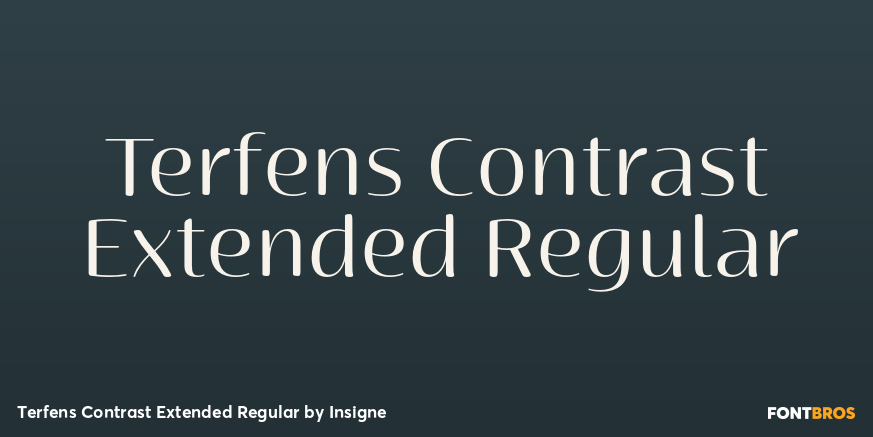 Terfens Contrast Extended Regular Poster