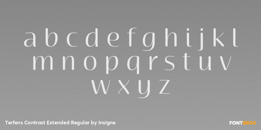Terfens Contrast Extended Regular Font Poster #1