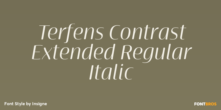 Terfens Contrast Extended Regular Italic Poster