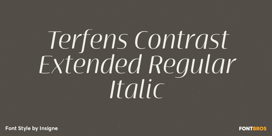 Terfens Contrast Extended Regular Italic Poster