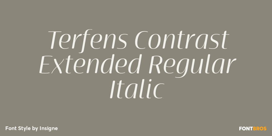 Terfens Contrast Extended Regular Italic Poster
