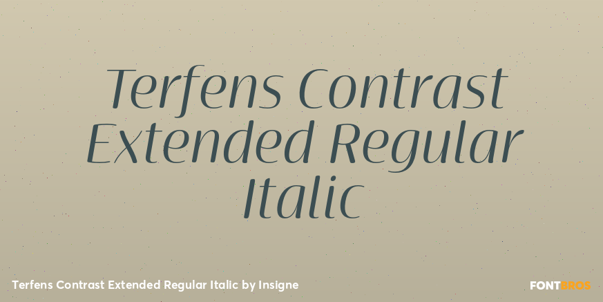 Terfens Contrast Extended Regular Italic Poster