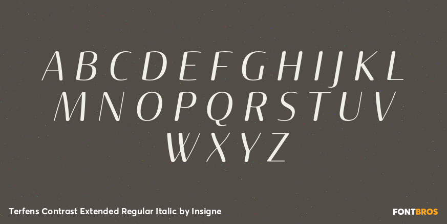Terfens Contrast Extended Regular Italic Font Poster #1