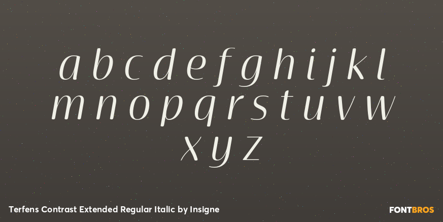 Terfens Contrast Extended Regular Italic Font Poster #1