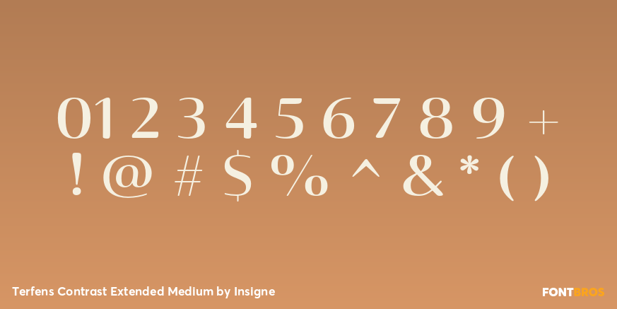 Terfens Contrast Extended Medium Font Poster #1