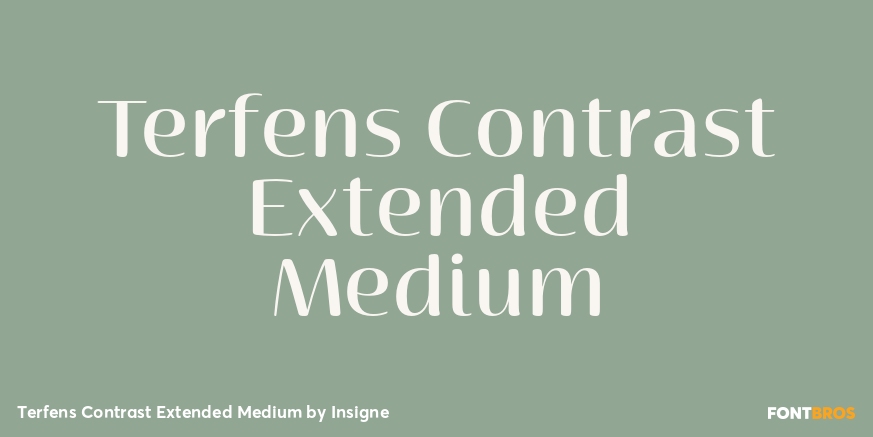 Terfens Contrast Extended Medium Poster