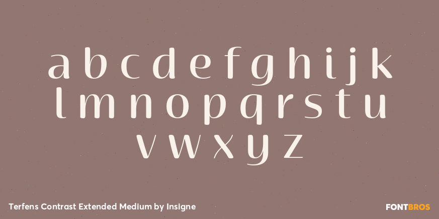 Terfens Contrast Extended Medium Font Poster #3