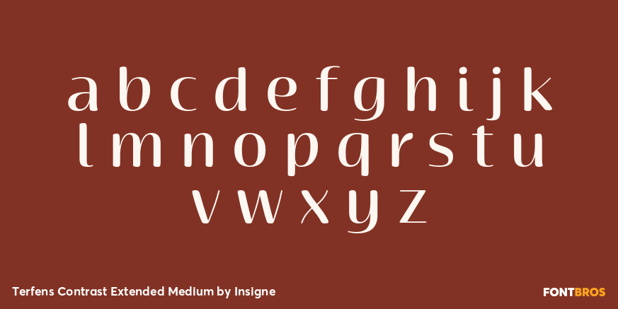 Terfens Contrast Extended Medium Font Poster #1