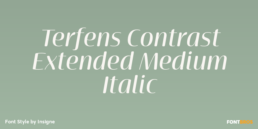 Terfens Contrast Extended Medium Italic Poster