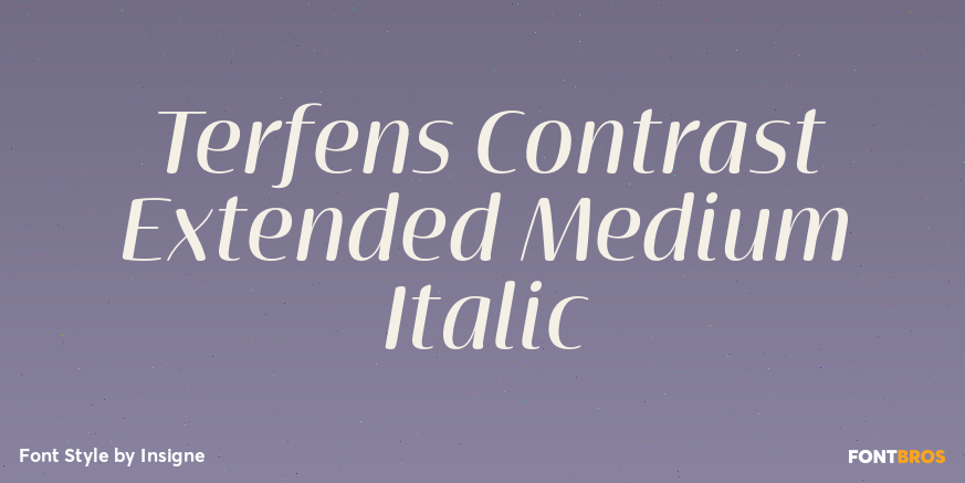 Terfens Contrast Extended Medium Italic Poster