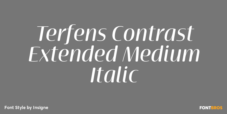 Terfens Contrast Extended Medium Italic Poster