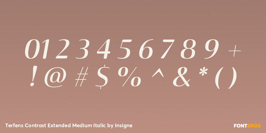 Terfens Contrast Extended Medium Italic Font Poster #1