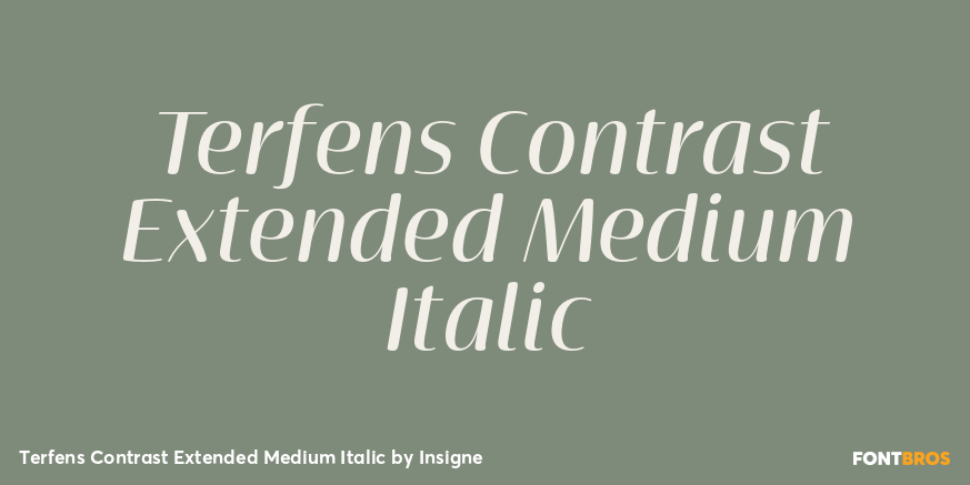 Terfens Contrast Extended Medium Italic Poster