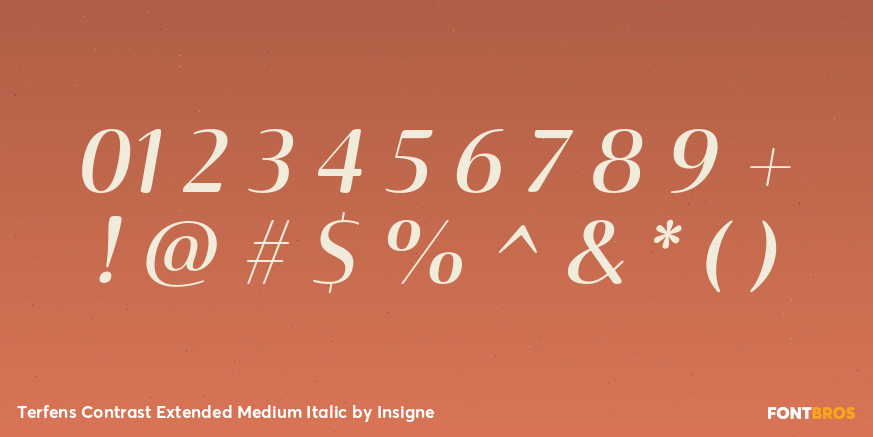 Terfens Contrast Extended Medium Italic Font Poster #4